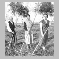 062-0008 Altbauer Heinrich Marquardt mit seinen Toechtern Hedwig und Maria bei der Heuernte auf dem Feld am Augker Weg ca. 1930.jpg